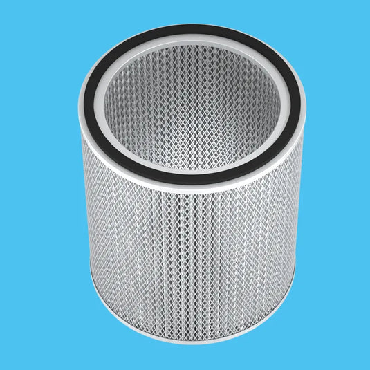 H13 Medical-Grade HEPA Filter