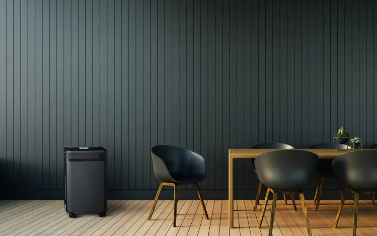 INOVA DE20 Air Purifier in Black finish in a Dining Room