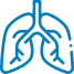 Lungs Icon