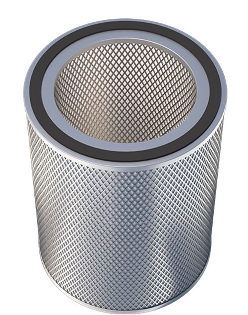 E20/DE20 6kg Activated Carbon filter