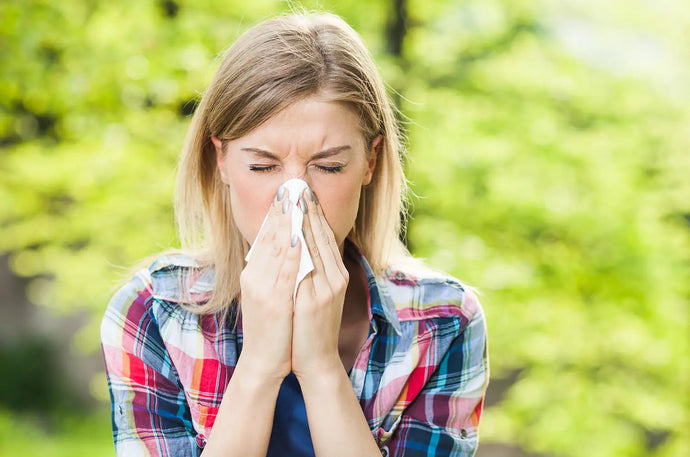 The Benefits of Air Purifiers for Allergy Sufferers.