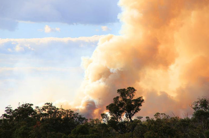 5 ways to protect yourself from bushfire smoke inhalation in your home.