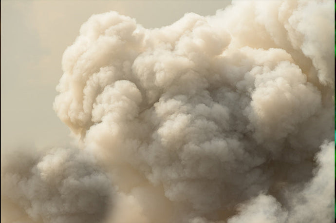 What The Bushfires Taught Us About Air Purifiers.