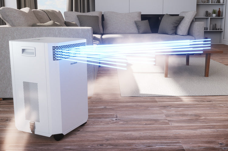 How Do Air Purifiers Work?