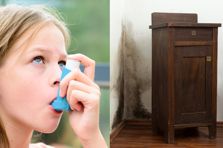 Understanding the Link Between Mould and Asthma