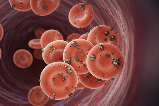 Particles in the Blood Stream - Can an Air Purifier Help?