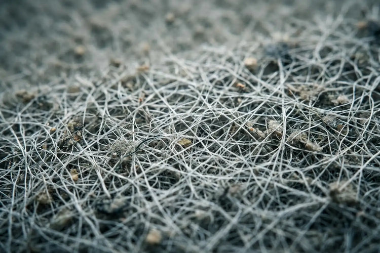 HEPA Filter Media capturing dust and particles
