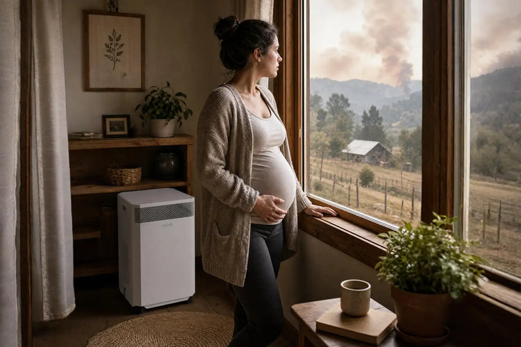 Air Purifier - Bushfire Smoke and Pregnancy: Why Cleaner Indoor Air Matters More Than Ever