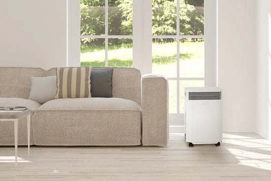 Zara's E20 Air Purifier Review 