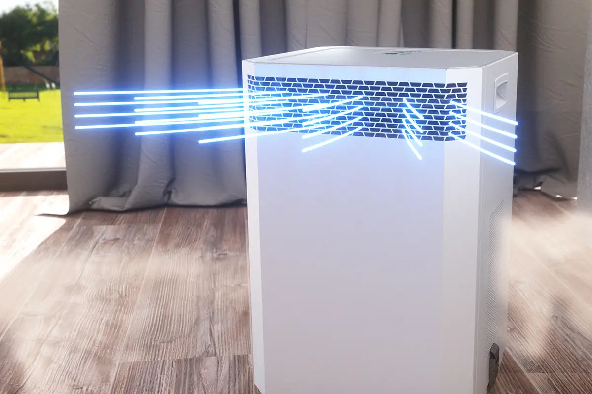 An INOVA DE20 Air Purifier cleaning a living room.