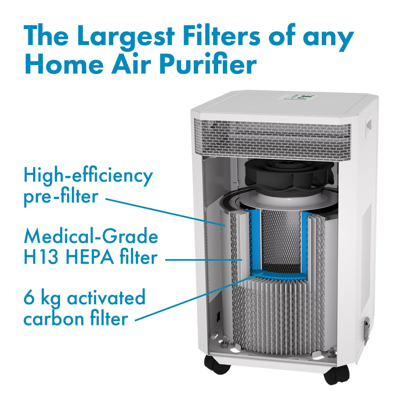 Load image into Gallery viewer, A cutaway image showing the prefilter HEPA filter and activated carbon filter inside an INOVA DE20 Air Purifier.
