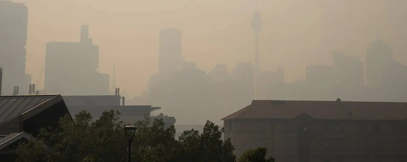 haze from bushfire smoke in city