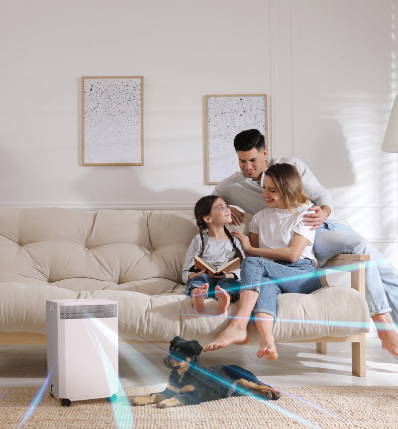 Load image into Gallery viewer, INOVA-DE20 Air Purifier
