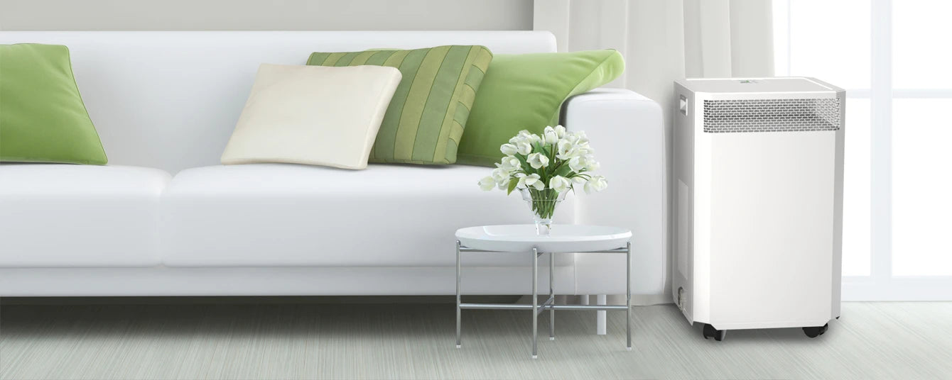 Air purifier with cheap filters deals