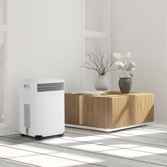 white inova air purifier in minimal living room